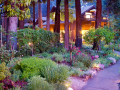 01-New-Home-Page-photo-1
